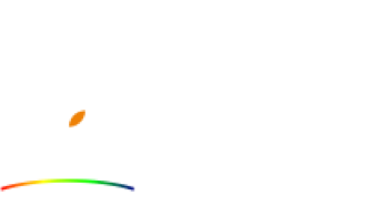 Lopgo heisler SERVICES